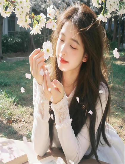 《高智能方程式：SIN》评分测评：是否值得花时间观看的深度分析，修复重制